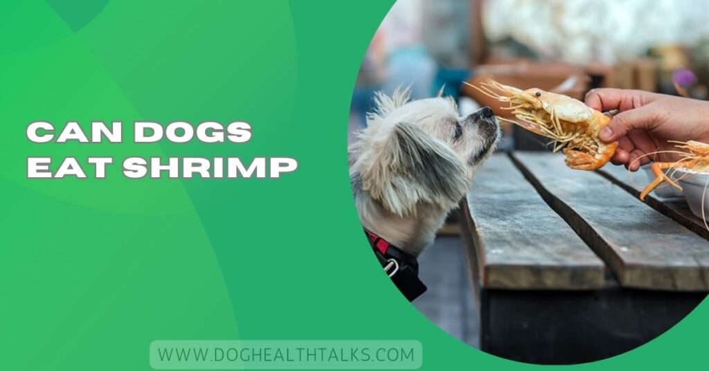 Can Dogs Eat Shrimp​