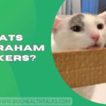 Can Cats Eat Graham Crackers?