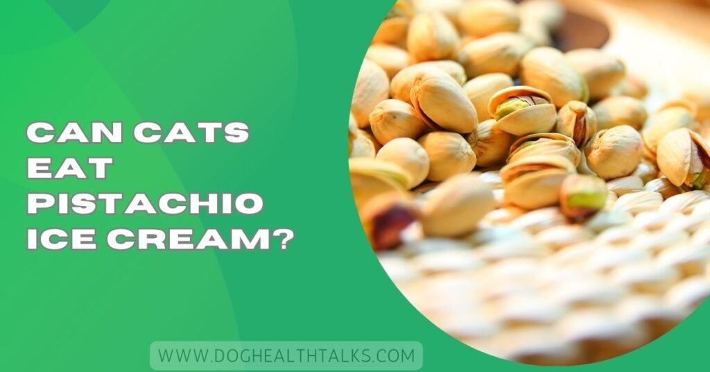 Can Cats Eat Pistachio Ice Cream?