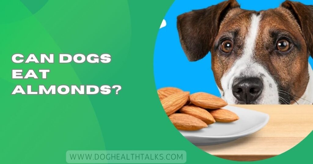 Can Dogs Eat Almonds