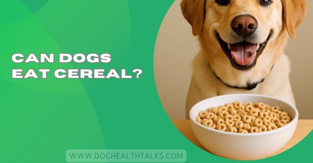 Can Dogs Eat Cereal?