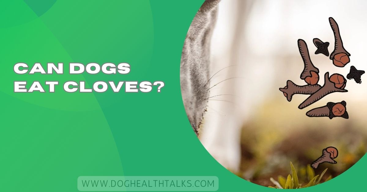 Can Dogs Eat Cloves?