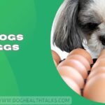 Can Dogs Eat Eggs