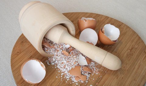 Can Dogs Eat Eggshells?