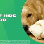 Is Beef Hide Bad For Dogs
