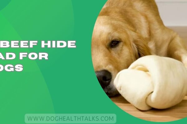 Is Beef Hide Bad For Dogs